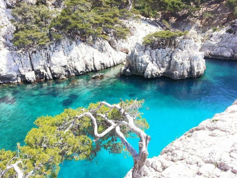 Provence private tour: Aix-en-Provence, (Marseille) & Cassis - Final Thoughts: Is It Worth It?