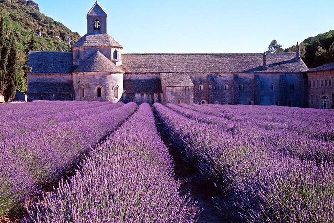 Provence Sea & Countryside Full-Day Private Tour - Analyzing the Experience: What Makes It Worthwhile?