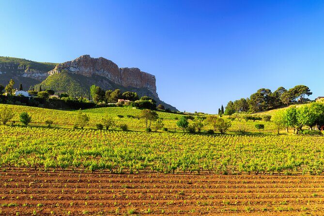 Provence small group half-day wine tour from Aix - FAQs