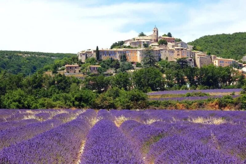 Provence: Valensole Lavender Fields Guided Full-Day Tour - Who Will Love This Tour?