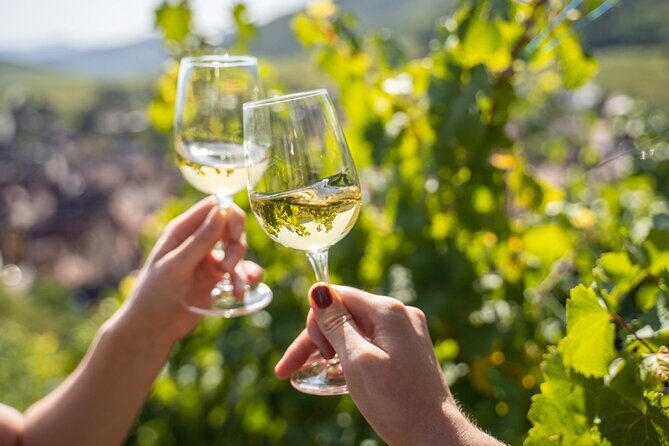 Provence, Vineyards and Lavender Fields Private Day Trip - Considerations and Who It’s Best For