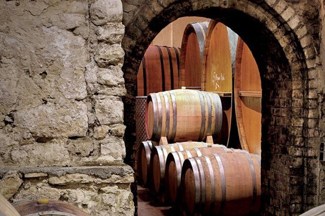 provence wine tasting - A Closer Look at the Provence Wine Tasting Tour