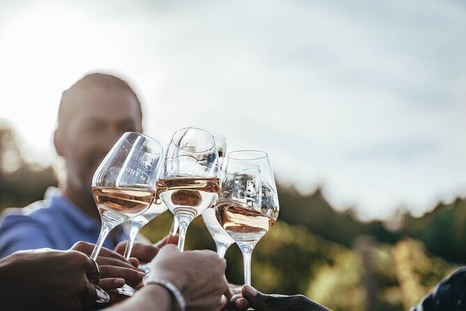 Provence Wine Tour - Private Day Tour from Antibes - Why Choose This Tour?