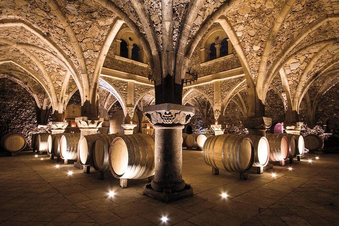 Provence Wine Tour - Private Day Tour from Cannes - Key Points