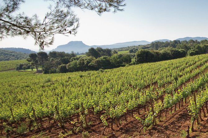 Provence Wine Tour - Private Day Tour from Cannes - Final Thoughts