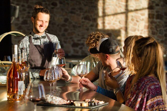 Provence Wine Tour - Private Day Tour from Nice - An In-Depth Look at the Provence Wine Tour