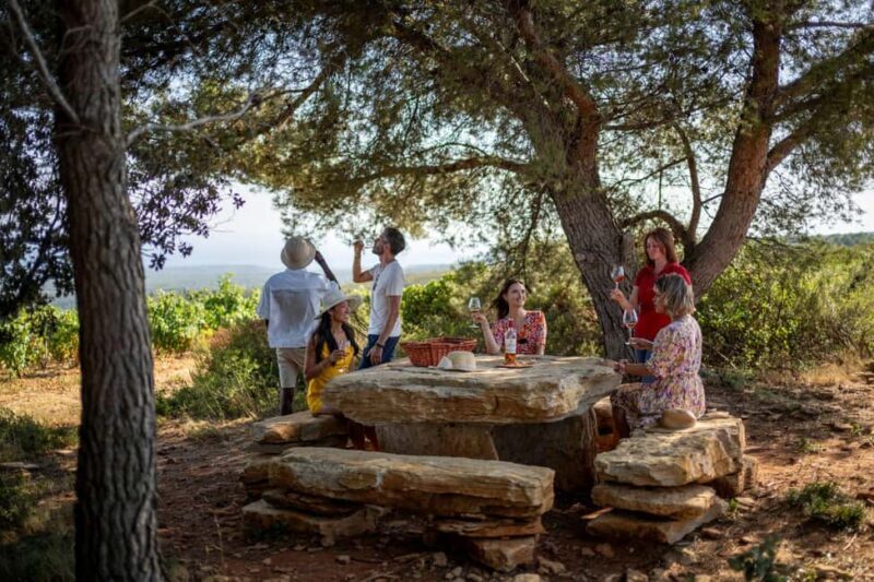 Provence Wine Tour - Private Tour from Nice - Key Points