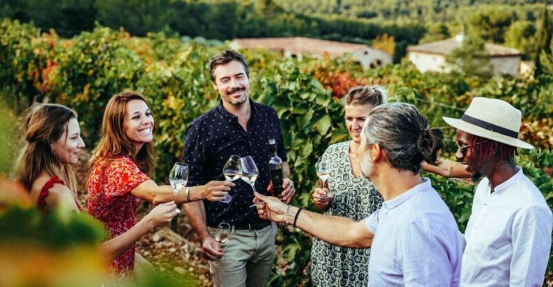 Provence Wine Tour - Private Tour from Nice - Who Should Consider This Tour?