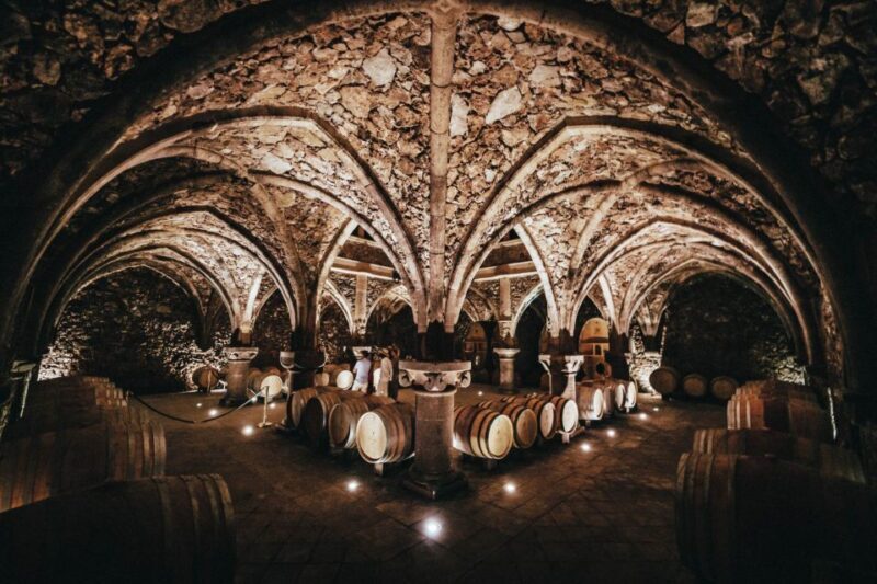 Provence Wine Tour - Small Group Tour from Cannes - FAQ