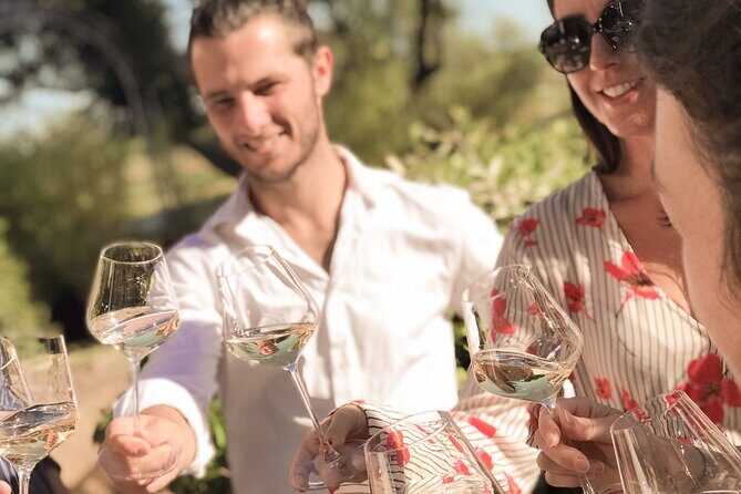 Provence Wine Tour - Small Group Tour from Cannes - Who Should Book This Tour?