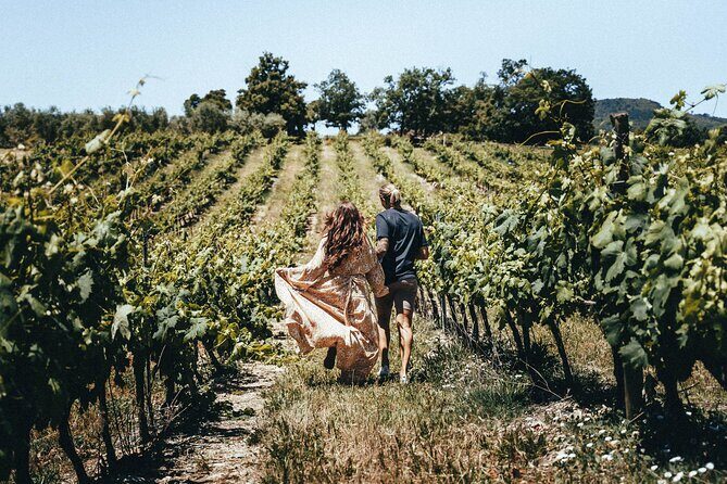 Provence Wine Tour - Small Group Tour from Cannes - Final Thoughts