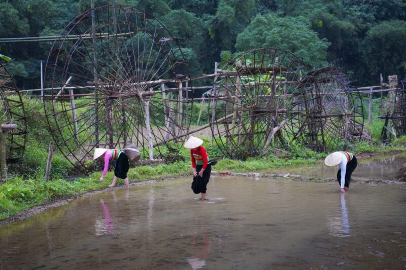 Pu Luong 2 Days 1 Night - Trekking, cloud hunting - Exploring the Itinerary in Detail
