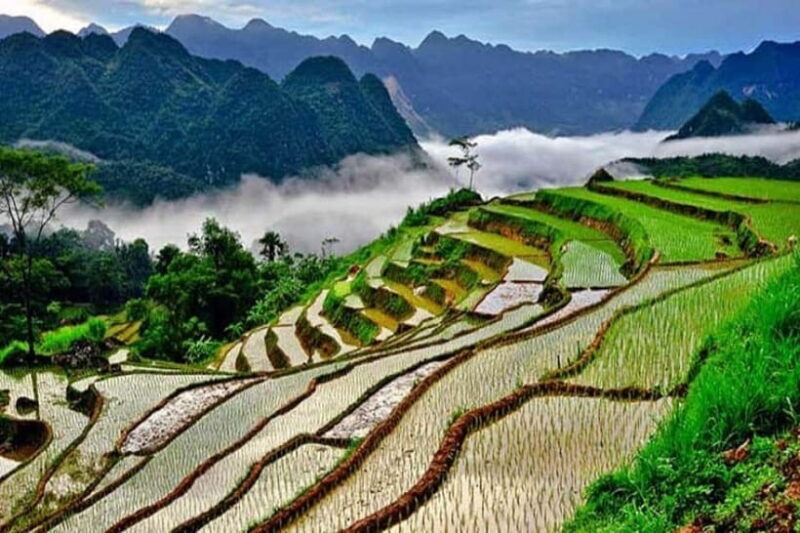 Pu Luong 2D1N Trekking trip | From Hanoi - A Closer Look at the Experience