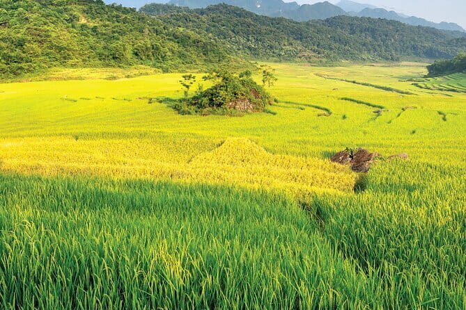 Pu Luong: 3-Day Adventure with Trekking, Cycling & Cooking Class - Discover the Heart of Vietnam with a 3-Day Pu Luong Adventure