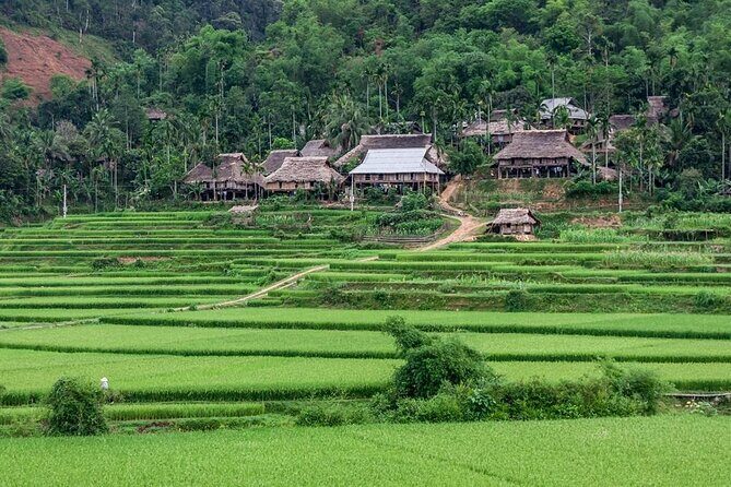 Pu Luong Afternoon Trek - Bat Cave, Rice Fields & Village Life - Exploring Kho Muong Cave – A Natural Wonder