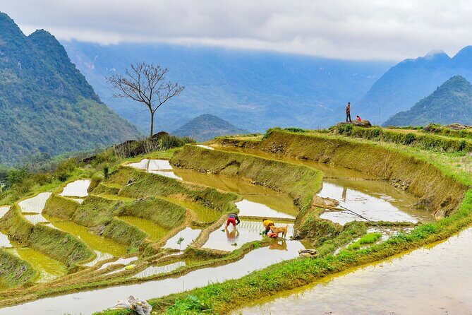 Pu Luong Afternoon Trek - Bat Cave, Rice Fields & Village Life - Practical Details and Value