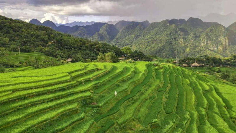 Pu Luong: Half-Day Trekking Tour with Local Farm Visit - A Closer Look at the Pu Luong Trekking Experience