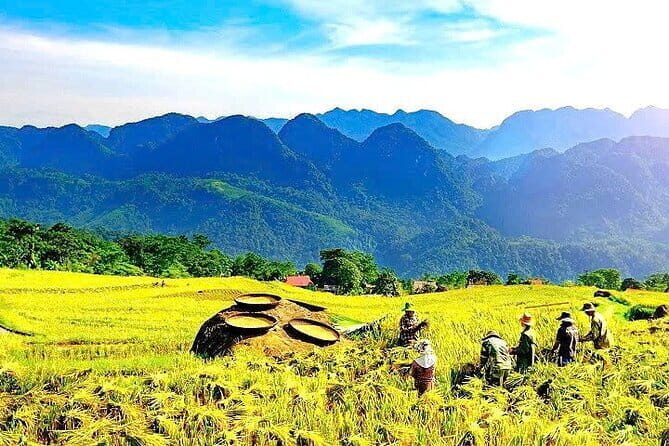 Pu Luong Insight Half Day of Nature and Culture Discovery - Final Thoughts