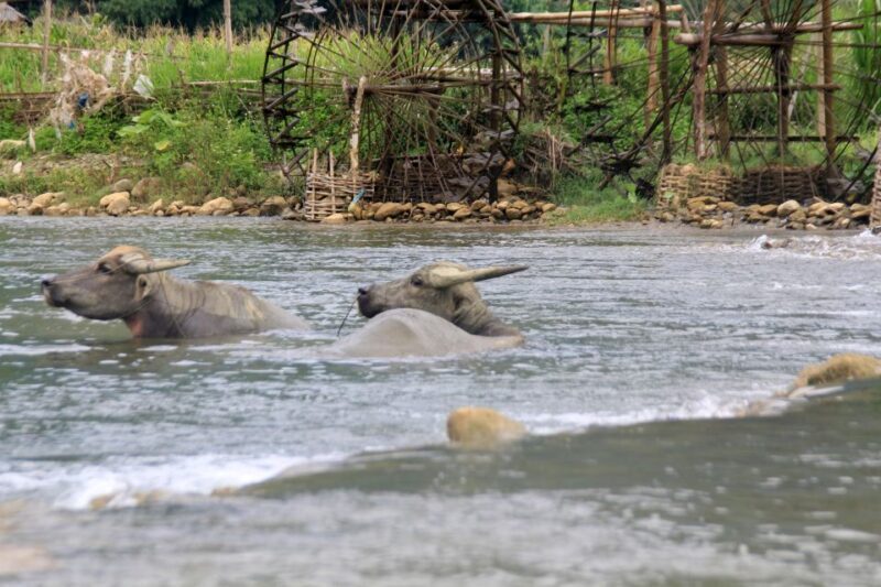 Pu Luong Offbeat Trekking Tour 2 days 1 night with Limousine - FAQ