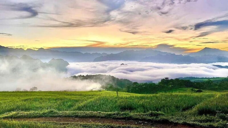 Pu Luong Trekking & Homestay 2-Day Tour from Ninh Binh - Exploring Pu Luong: What to Expect on This Two-Day Adventure