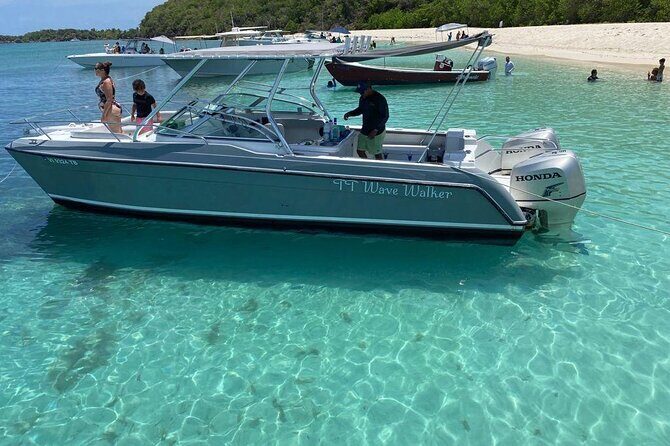 Public or Private Boat Trip to Icacos & Palomino - Who Should Consider This Tour?