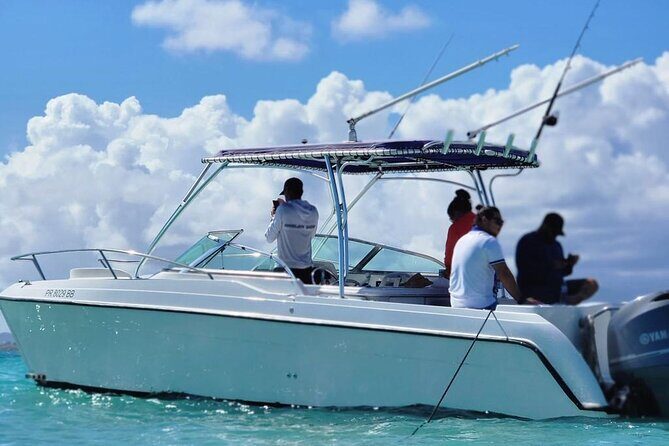 Public or Private Boat Trip to Icacos & Palomino - The Sum Up: Why This Tour Might Be Perfect for You