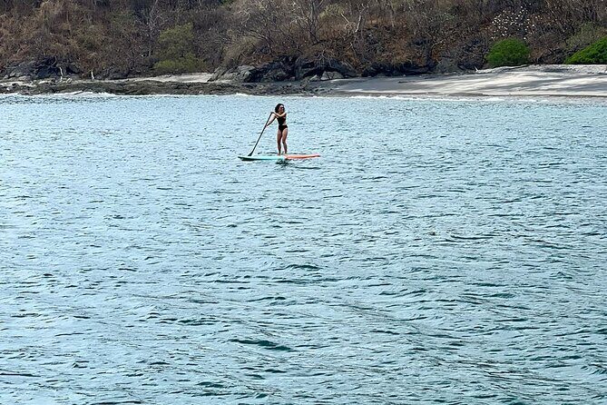 Public Sunset Catamaran - Key Points