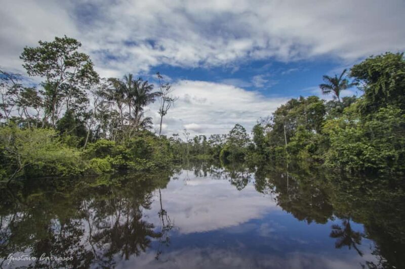 Pucallpa Red Land of the Jungle - Day Two: River, Jungle, and Indigenous Culture