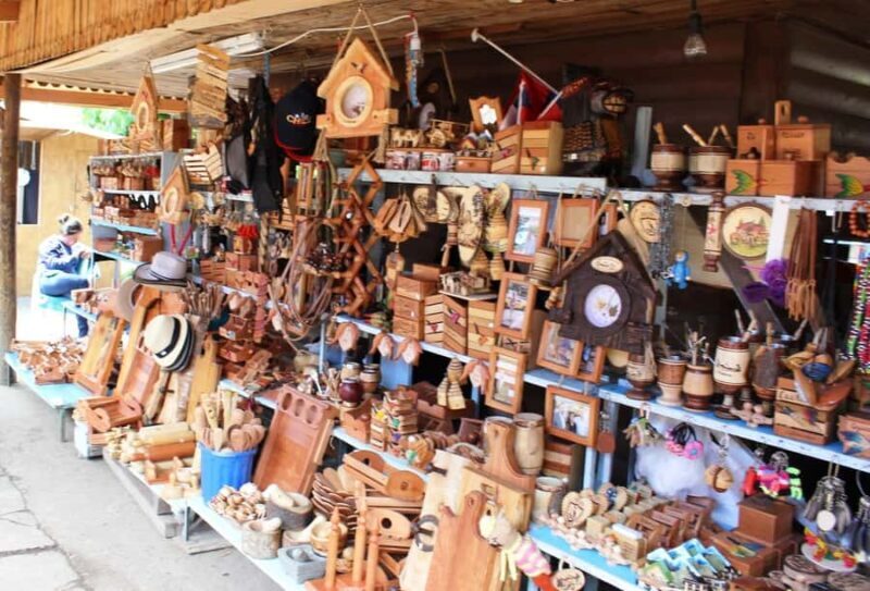 Pucón and Villarrica: Guided Tour with Hotel Pickup - Who Would Love This Tour?