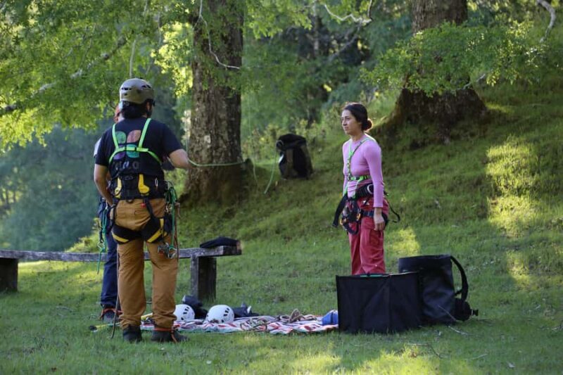 Pucón - Carhuello: Native Tree Climbing Experience - Pucón - Carhuello: Native Tree Climbing Experience