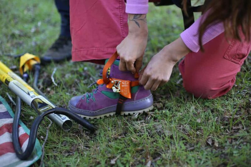 Pucón - Carhuello: Native Tree Climbing Experience - Key Points