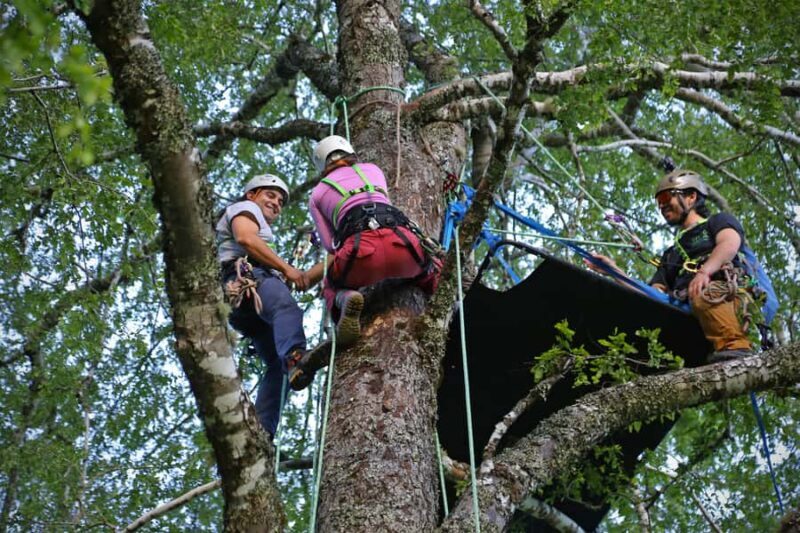 Pucón - Carhuello: Native Tree Climbing Experience - Considerations and Practical Tips