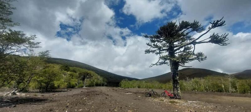 Pucon: Discover active volcano routes with MTB tour in ebike - An In-Depth Look at the Pucon eBike Volcano Tour