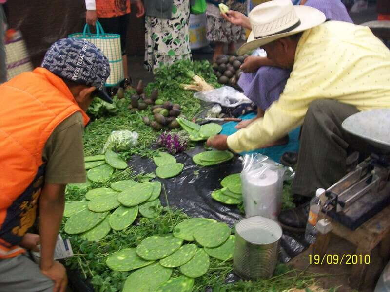 Puebla: 5-Hour Culinary Tour with Tastings - Breakdown of the Itinerary