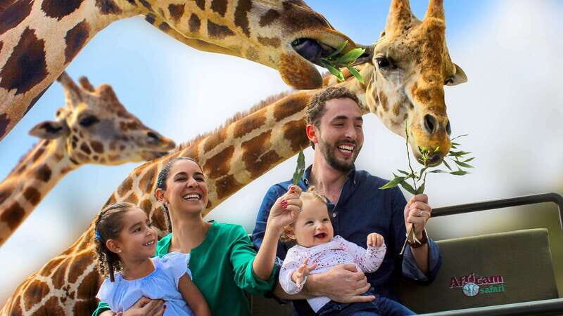 Puebla Africam Safari Park, Live an Unforgettable Adventure! - Frequently Asked Questions