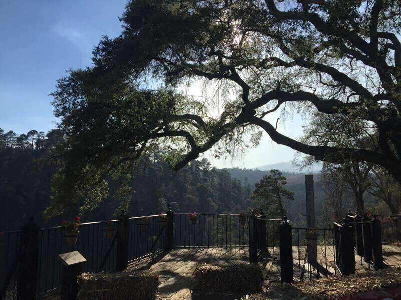 Puebla: Alpinia Mountain and Nature Park - Puebla: Alpinia Mountain and Nature Park