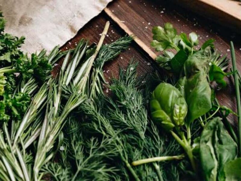 Puebla: Ancestral Aztec Temazcal steam bath ceremony - A Deep Dive into the Temazcal Experience