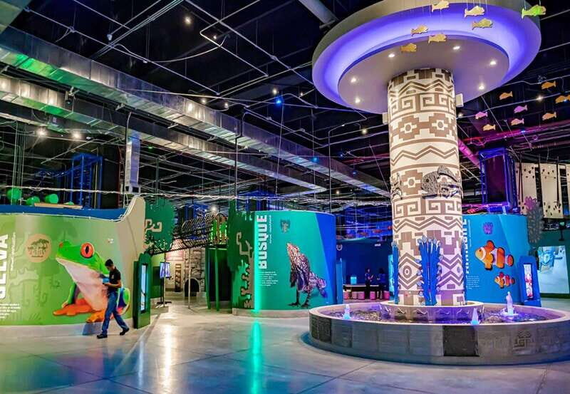 Puebla: Hop-on Hop-off City Tour and Aquarium Michín - Key Points