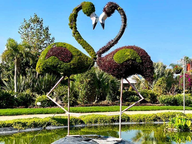 Puebla: Magical Atlixco, Volcano, Unique Garden & Plant Maze - Pricing and Value
