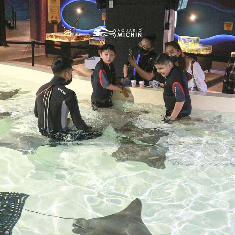 Puebla: Ticket to Aquarium Michin - Key Points