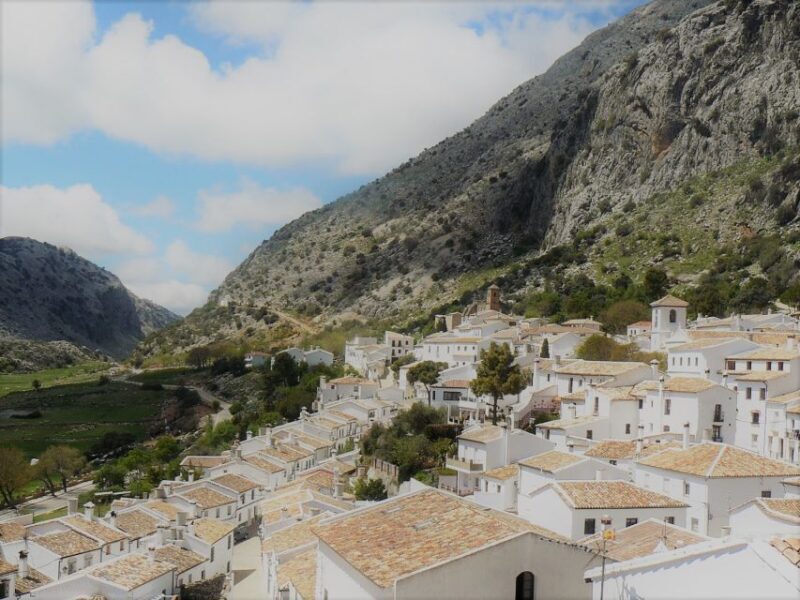 Pueblos Blancos & Ronda: Private Full-Day Tour from Seville - Final Thoughts: Is This Tour Right for You?