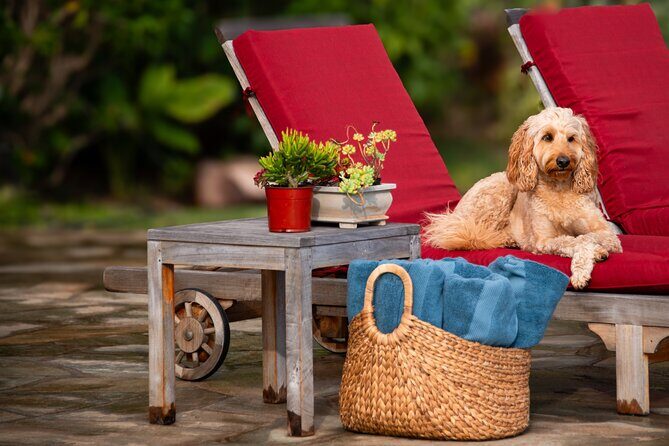 Pueo Farm Tour (1.5 hr) Upcountry Kula Maui Hawaii - Exploring Maui’s Heartland: Pueo Farm Tour (1.5 hours) in Upcountry Kula