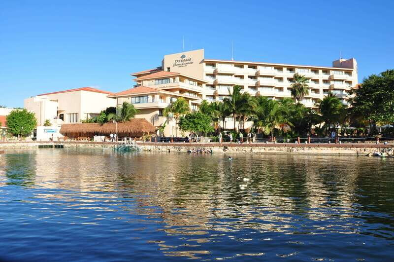 Puerto Aventuras: Amazing Dolphin Encounter with Lunch - Final Thoughts