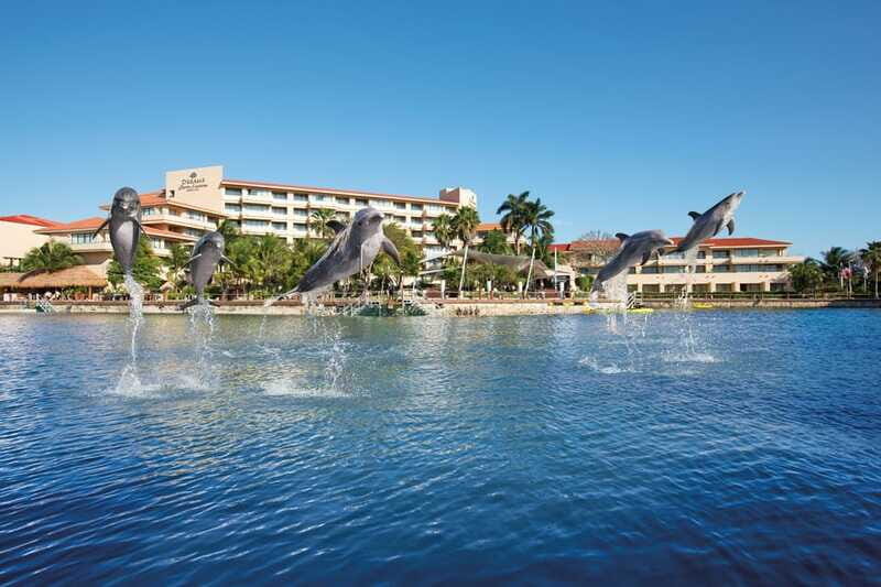 Puerto Aventuras: Amazing Dolphin Encounter with Lunch - FAQ