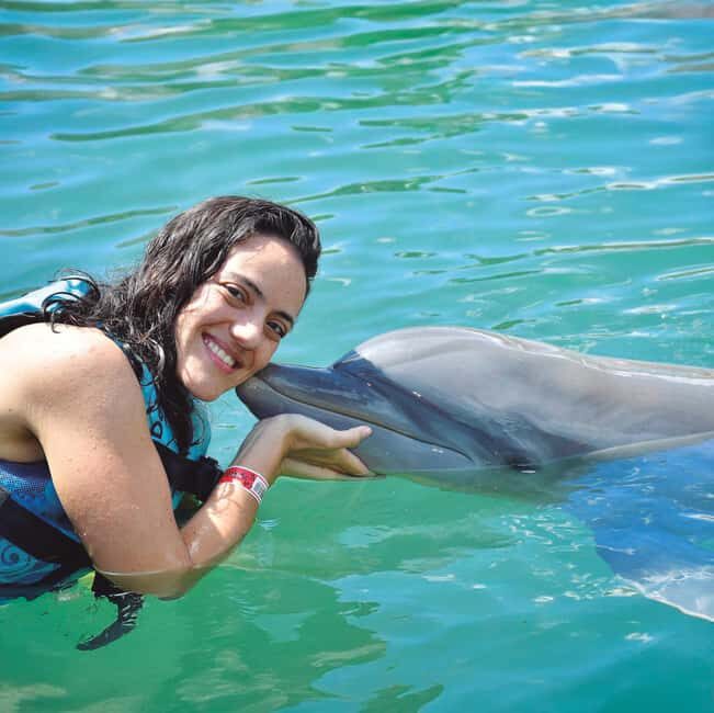 Puerto Aventuras: Dolphin and Manatee Interaction with Lunch - A Complete Guide to Your Dolphin and Manatee Adventure