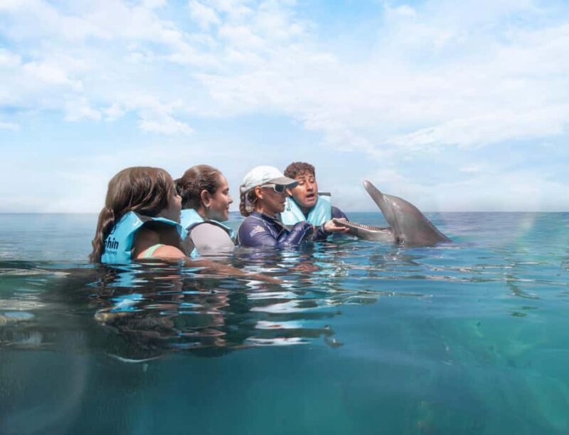 Puerto Aventuras: Dolphin Connection & Manatee Interaction - Final Thoughts on Value and Experience