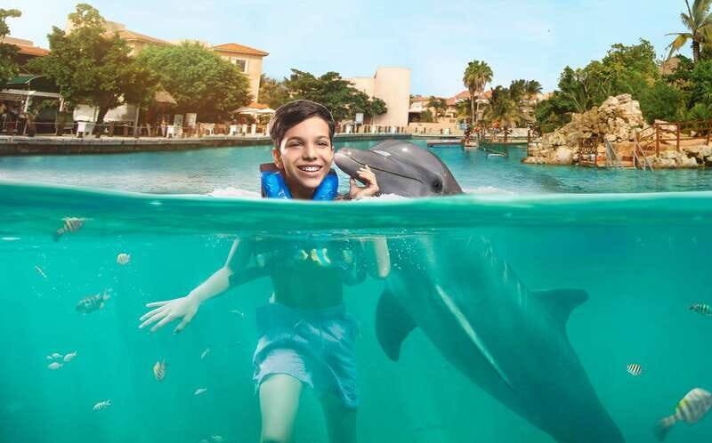 Puerto Aventuras: Dolphin Encounter with Buffet Lunch - FAQ