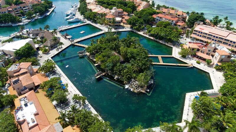 Puerto Aventuras: Dolphin & Manatee Encounter with lunch - What to Expect at Puerto Aventuras: Dolphin & Manatee Encounter