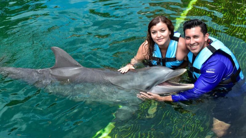 Puerto Aventuras: Dolphin & Manatee Encounter with lunch - Final Thoughts