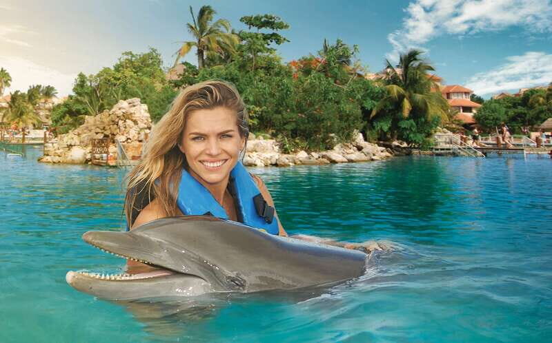 Puerto Aventuras: Dolphin Swim, Sea Lions, Manatees, & Lunch - Key Points